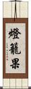 燈籠果 Scroll