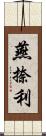 燕捺利 Scroll