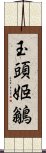 玉頭姬鶲 Scroll