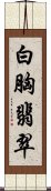 白胸翡翠 Scroll