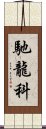 馳龍科 Scroll