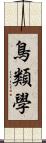 鳥類學 Scroll