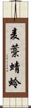 麦藁蜻蛉 Scroll