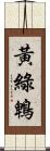 黃綠鵯 Scroll