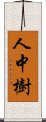 人中樹 Scroll