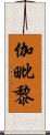 伽毗黎 Scroll