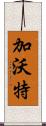 加沃特 Scroll