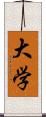 大学 Scroll