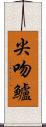 尖吻鱸 Scroll