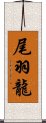 尾羽龍 Scroll