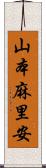 山本麻里安 Scroll