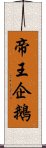 帝王企鵝 Scroll