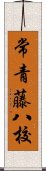 常青藤八校 Scroll