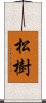 松樹 Scroll