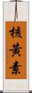 核黃素 Scroll