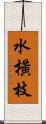 水橫枝 Scroll