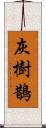 灰樹鵲 Scroll