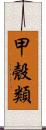 甲殼類 Scroll