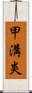 甲溝炎 Scroll