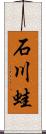 石川蛙 Scroll