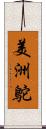 美洲鴕 Scroll