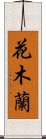 Hua Mulan Scroll