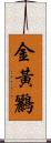 金黃鸝 Scroll