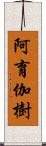 阿育伽樹 Scroll