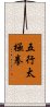 Five Elements Tai Chi Fist Scroll