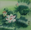 Chinese Lotus Flower Painting