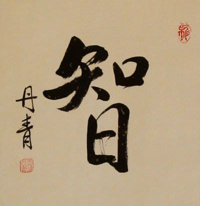 WISDOM Chinese / Japanese Kanji Wall Scroll close up view