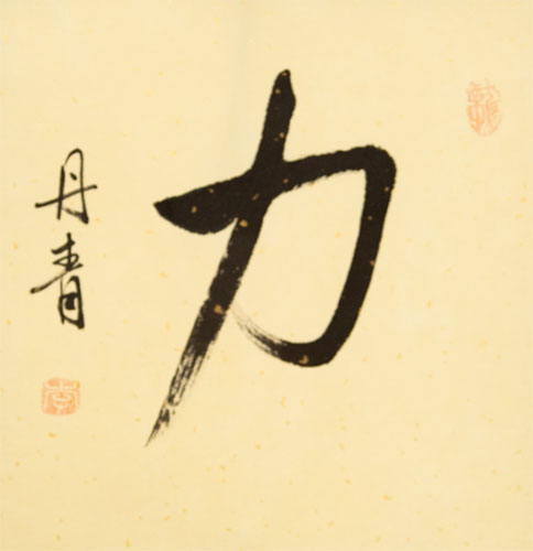 STRENGTH / POWER Chinese / Japanese Kanji Wall Scroll close up view