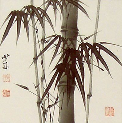 China Bamboo China Bamboo