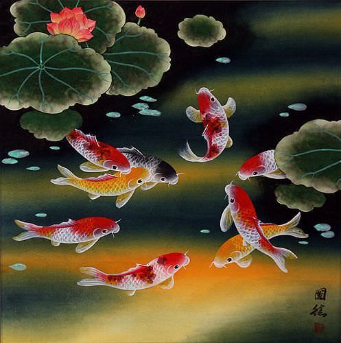 Nine Koi Fish and Lotus Flowers - Asian Painting