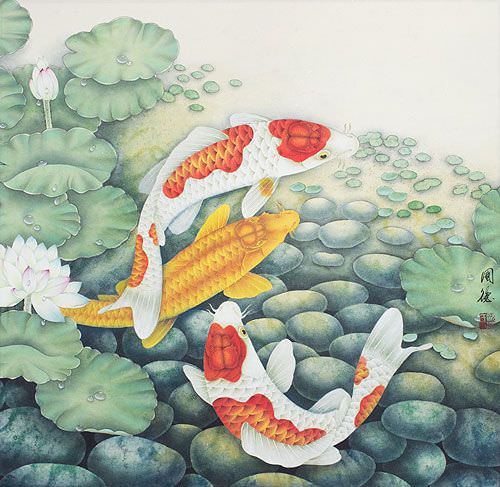 Koi Fish and Lotus Flowers - Large Painting