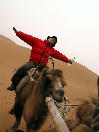 Cat riding a camel in China