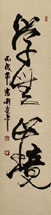 Caoshu Chinese Calligraphy