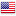 Flag of USA