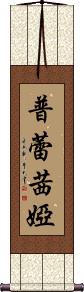 Prescilla Scroll