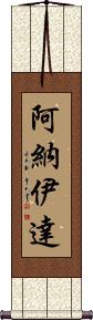 Anaida Scroll