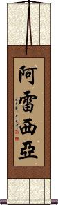 Arecia Scroll
