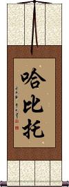 Habito Scroll