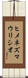 Jimenez Mauricio Scroll