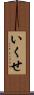 いくせ Scroll