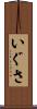 いぐさ Scroll