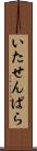 いたせんぱら Scroll