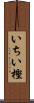 いちい樫 Scroll