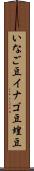 いなご豆 Scroll