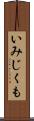 いみじくも Scroll