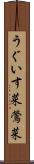 うぐいす菜 Scroll